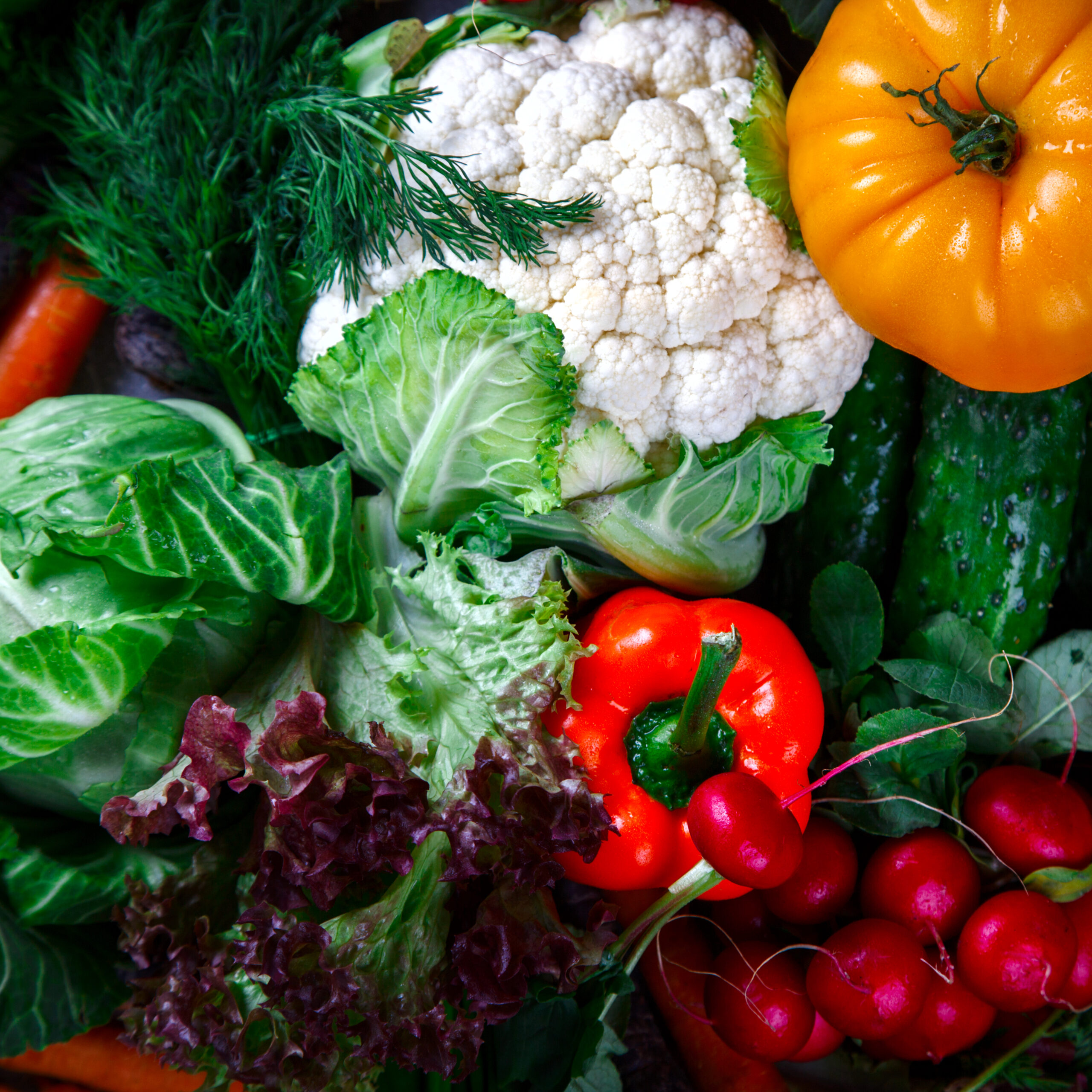 Background of vegetables.Different Fresh Farm Vegetables. Harves