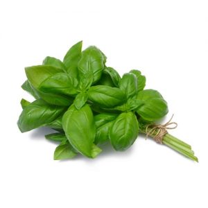 Basil (Packet)