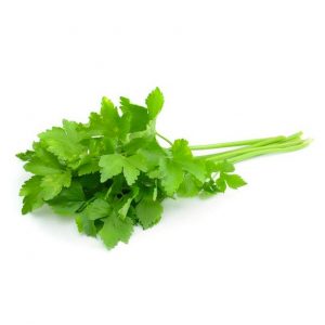 Coriander (bunch)
