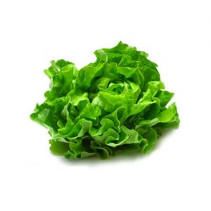 Flat Lettuce (each)