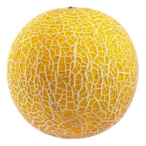 Galia Melon (each)
