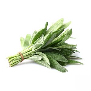 Sage (Packet)