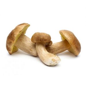 Wild Mushroom (Large punnet)