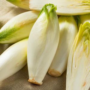 Chicory (each)
