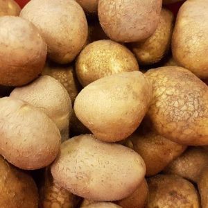Gower Estima potatoes (5lb bag)