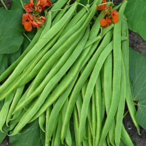 flat Beans (250g)