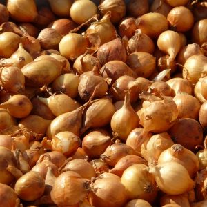 Pickling onions (5lb bag)